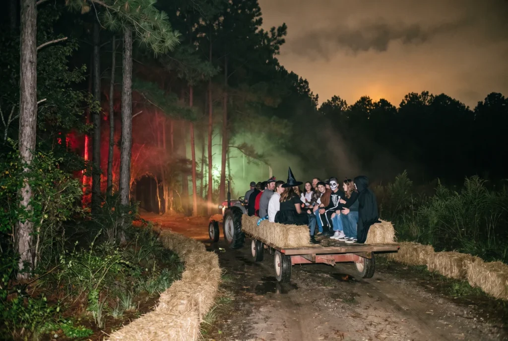 Costumed visitors on a hay wagon at night entering a wooded trail of tall pines, fog drifting between the trunks under red and green light
